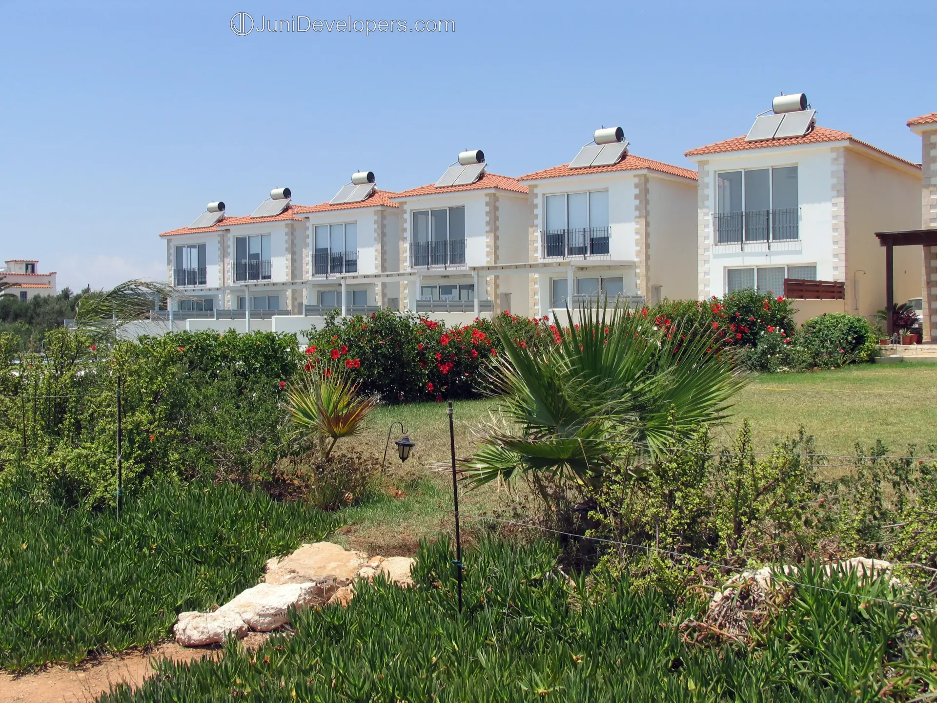 Beachfront villa in Ayia Napa hotel area with large swimming pool by the sandy beach