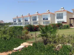 Beachfront villa in Ayia Napa hotel area with large swimming pool by the sandy beach