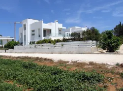 Premium luxury villa in Pernera resort area with garden plot and verandas