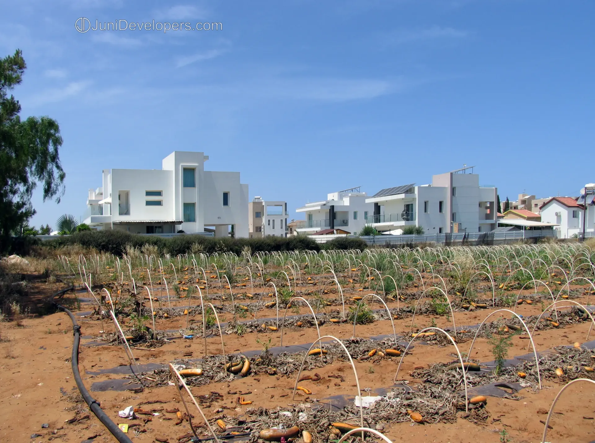 Premium 4 bedroom villa in Pernera seafront with pool and relaxing outdoor setting