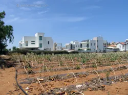 Premium 4 bedroom villa in Pernera seafront with pool and relaxing outdoor setting