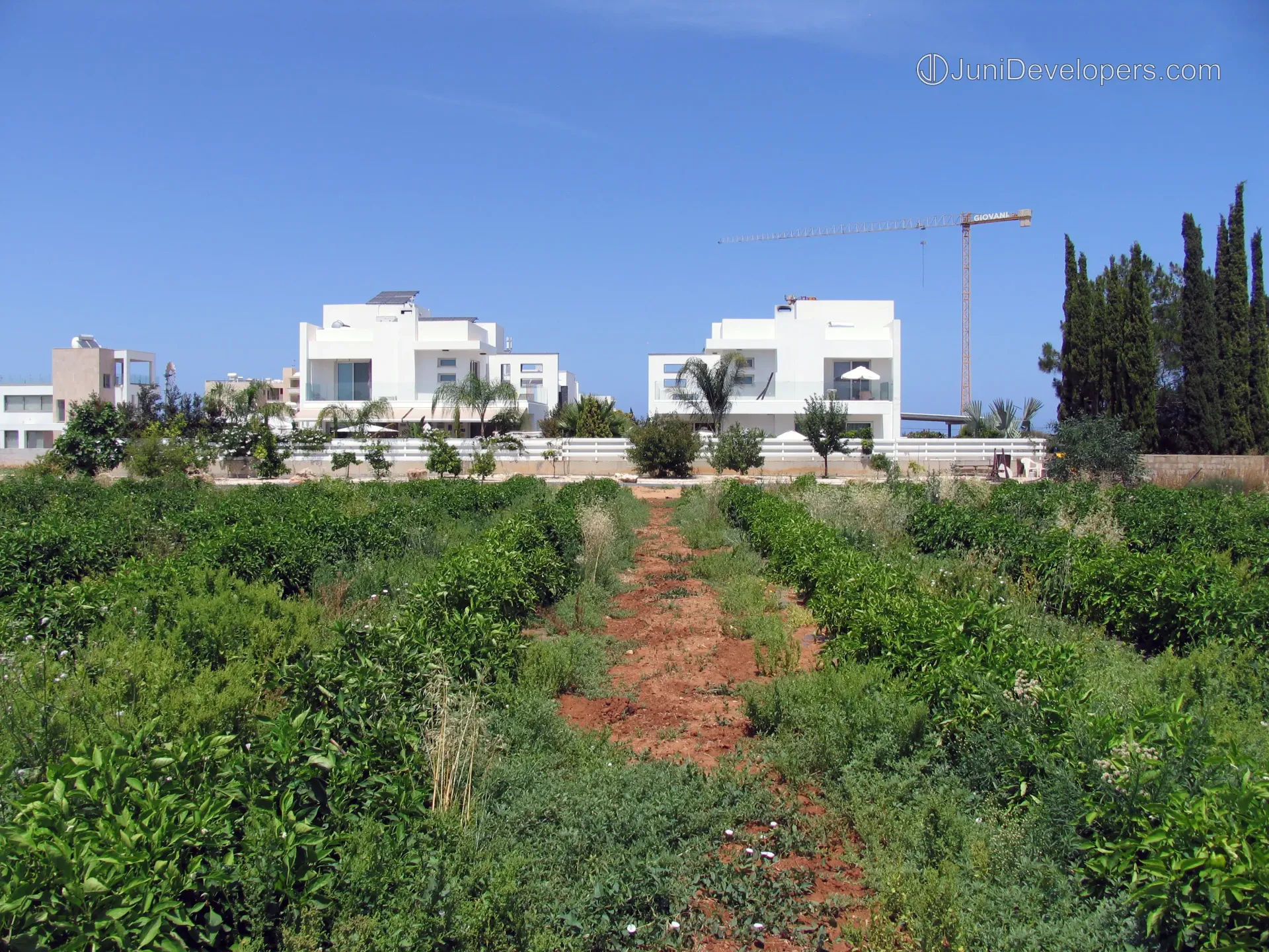 Stylish spacious villa in Pernera near bars with roof-garden and modern architecture